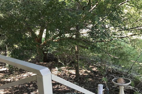 Padthaway Caravan Park - Darwin Holiday 4