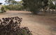 Padthaway Caravan Park - thumb 1