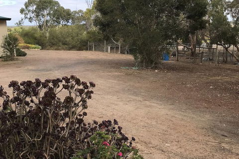 Padthaway Caravan Park - Darwin Holiday 1