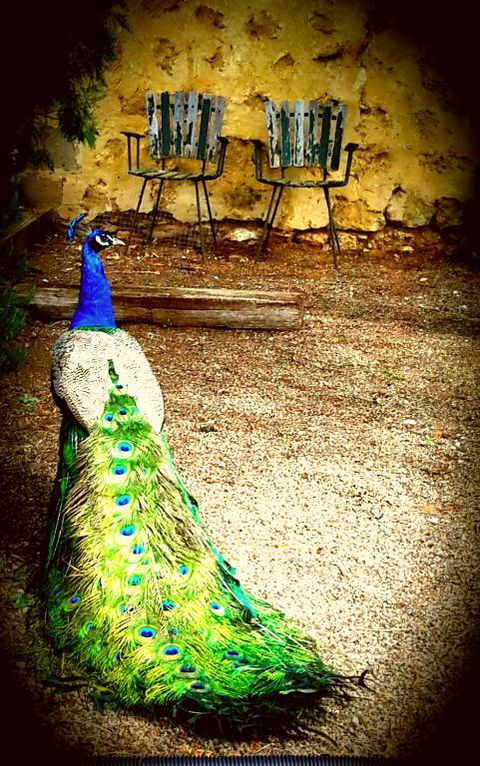 A La Folly - Darwin Holiday 4