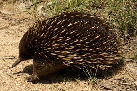Brigadoon Cottages - Darwin Holiday 7