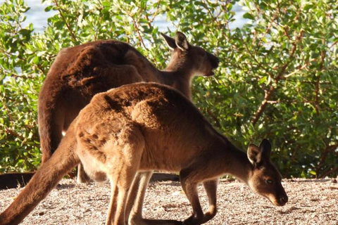 Ratcliff Cottage - Darwin Holiday 5