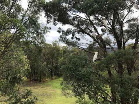 Kookaburra Retreat - Darwin Holiday 5