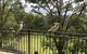 Kookaburra Retreat - thumb 4