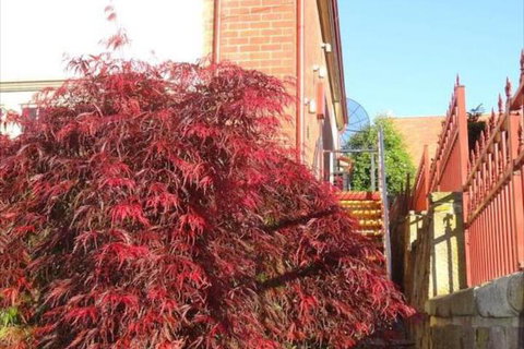 Hopkins Manor - Darwin Holiday 7