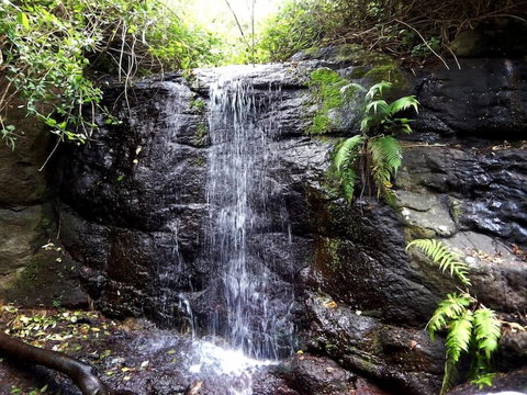 Riverbend Byron Hinterland Retreat - Darwin Holiday 2