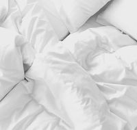 Art Deco Gem in Thriving Mascot - Darwin Holiday