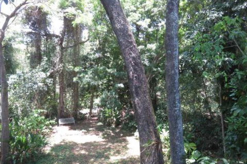 Palm Cove Rainforest Cottage - Darwin Holiday 1