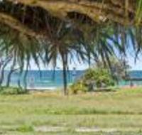 Pandanus on Emerald - Darwin Holiday