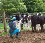 Manderley Park Farmstay B  B - Darwin Holiday