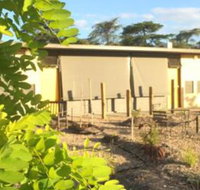 Tread Harcourt - Darwin Holiday