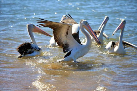 Alva Beach Tourist Park - Darwin Holiday 4