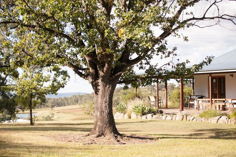Audrey Wilkinson Vineyard - Darwin Holiday 2