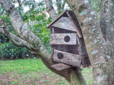 Lark Cottage - Darwin Holiday 3