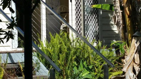 Edwards Rose - Darwin Holiday 6