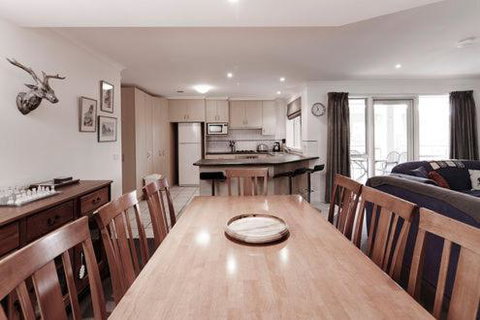 Reindeer 3 - Darwin Holiday 4