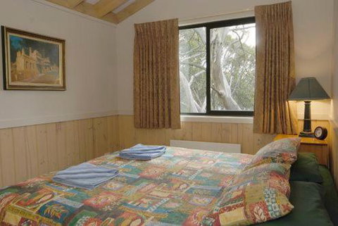 Discobolus 2 - Darwin Holiday 2