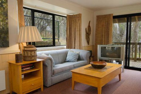 Discobolus 2 - Darwin Holiday 5