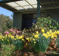 Nannup Riverview Cottage - Darwin Holiday