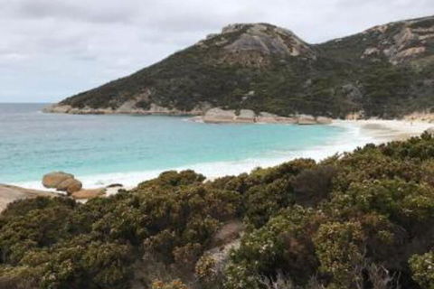 Zephyr Studio - Darwin Holiday 6