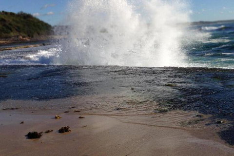 Serenity Lodge For Couples - Darwin Holiday 7