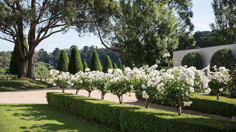 Lancemore Lindenderry Red Hill - Darwin Holiday 1