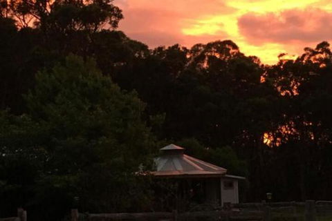 Ionaforest Yurt & Shepherds Hut - Darwin Holiday 4
