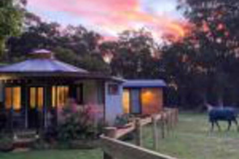 Ionaforest Yurt & Shepherds Hut - Darwin Holiday 0