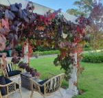 The Cottage - Darwin Holiday