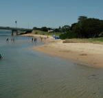 Black Dolphin Waterfront Apartment - Darwin Holiday
