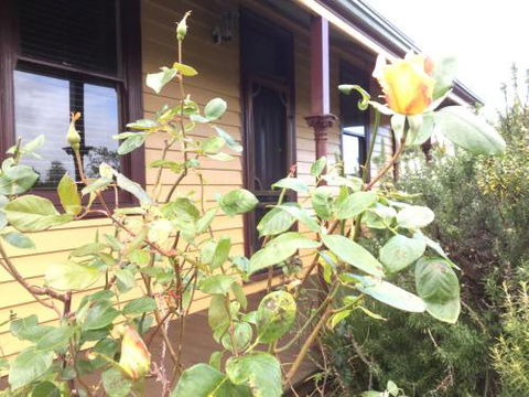 Albion Cottage - Darwin Holiday 4