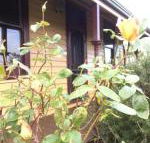 Albion Cottage - Darwin Holiday