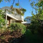 Rip Tide - Darwin Holiday 0