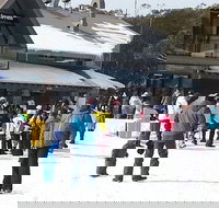 Discobulous 6 - Darwin Holiday