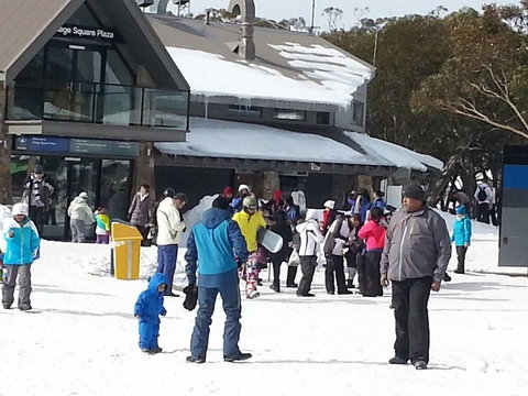 Discobulous 6 - Darwin Holiday 0