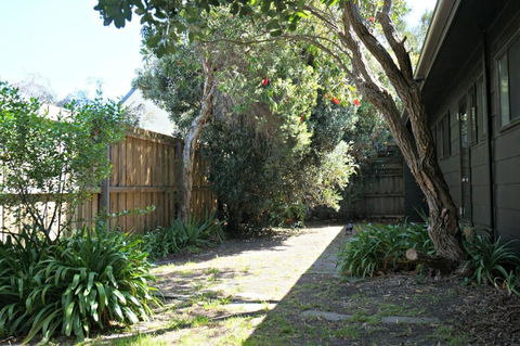 Santa Monica - Darwin Holiday 1