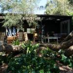 Santa Monica - Darwin Holiday 0