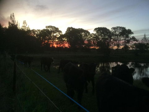Lovedale Red Gum Cottage - Darwin Holiday 4