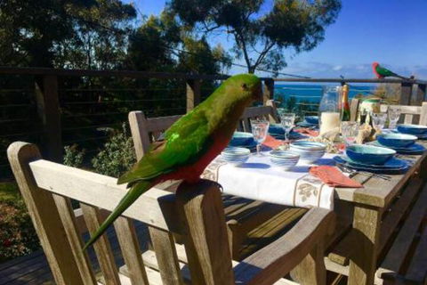 2 Degrees Of Separation - Darwin Holiday 4