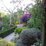 Eltham South Lodge - Darwin Holiday 1