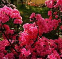 Mountain Escape - Darwin Holiday