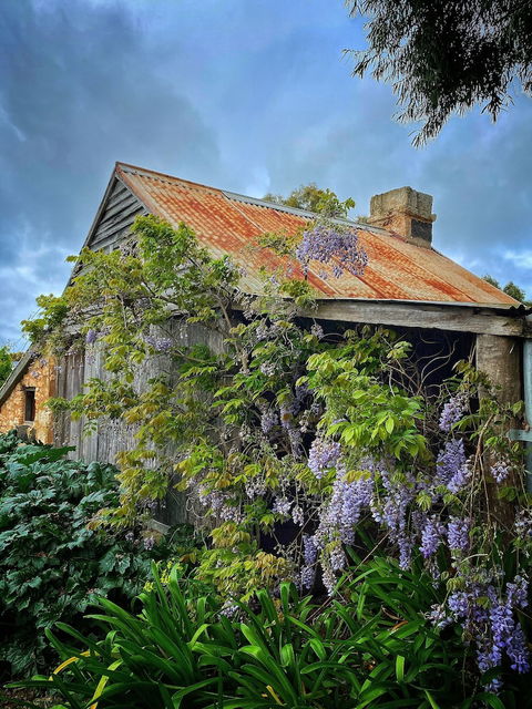 Cherry Plum Cottages - Darwin Holiday 1