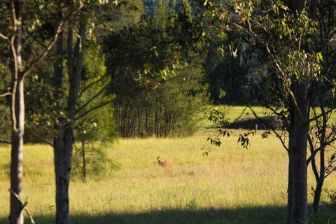 Windsors Edge Cottage Rothbury - Darwin Holiday 2