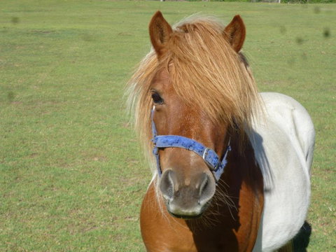 Woodvale At Cooma - Darwin Holiday 6