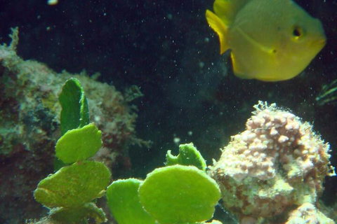 Gnaraloo Station - Darwin Holiday 5