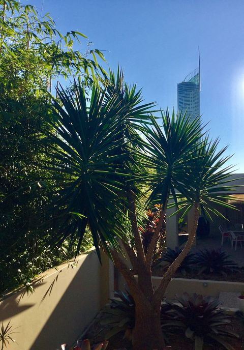 Villa Roma On Capri - GC - Darwin Holiday 0