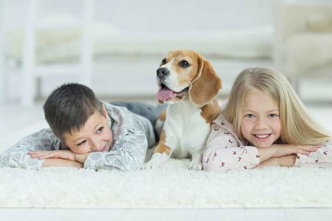 Boutique Stays - Vox Terrace, Prahran - Darwin Holiday 5