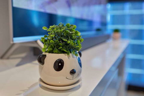 Melbourne Cozy Modern CBD Best Location - Darwin Holiday 2