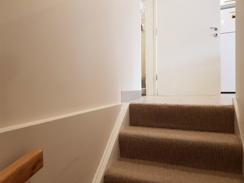 Elkhorn 17 - Darwin Holiday 6