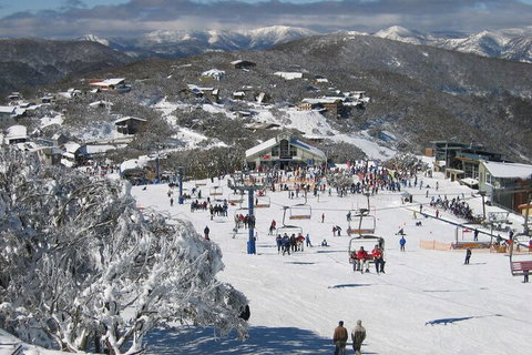 Snowflake 12 - Darwin Holiday 7